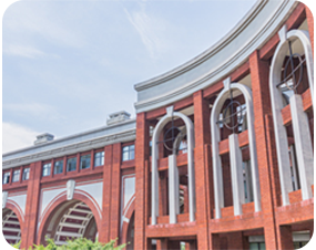 Образование